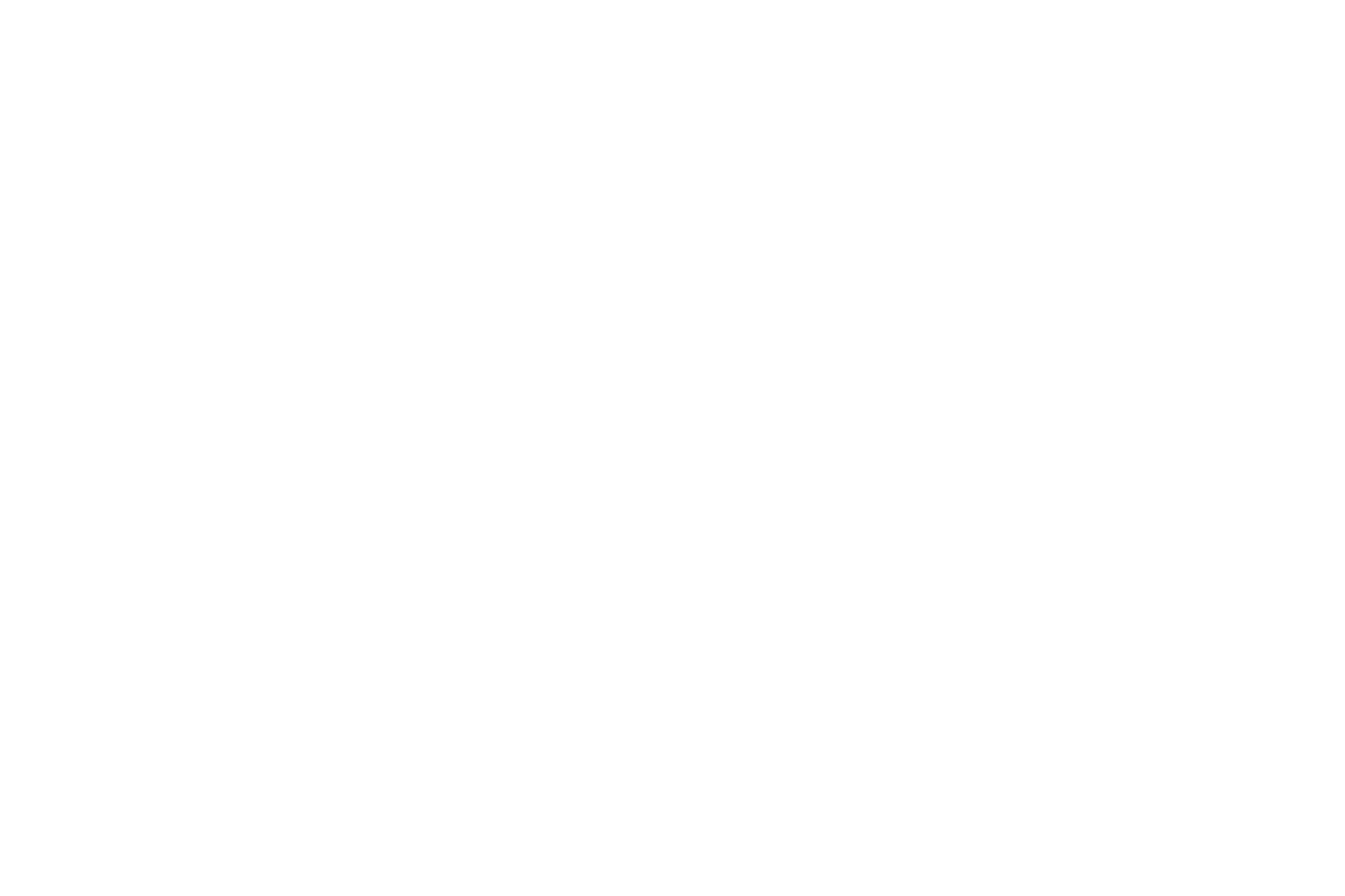 logo_final_whitewhite